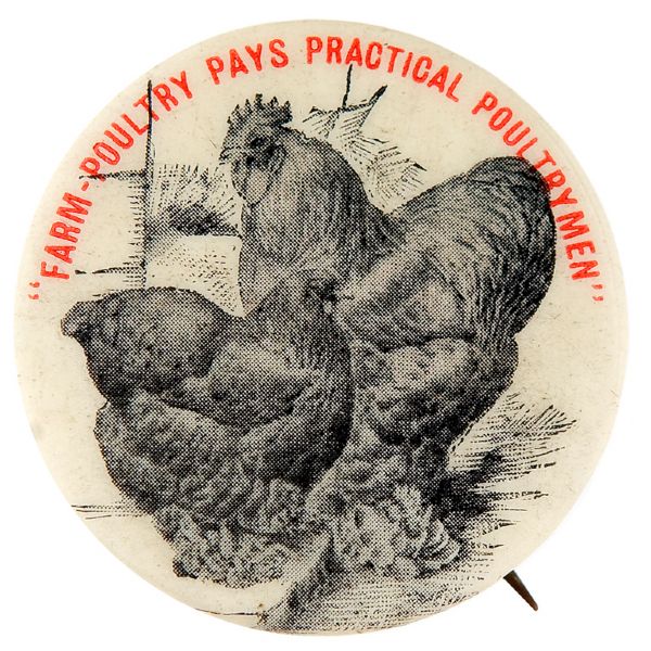 FARM-POULTRY PAYS PRACTICAL POULTRYMEN 1897 MAGAZINE AD BUTTON. 