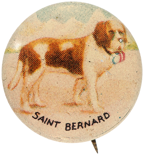 SAINT BERNARD FROM 1930s DOG BREED SET.