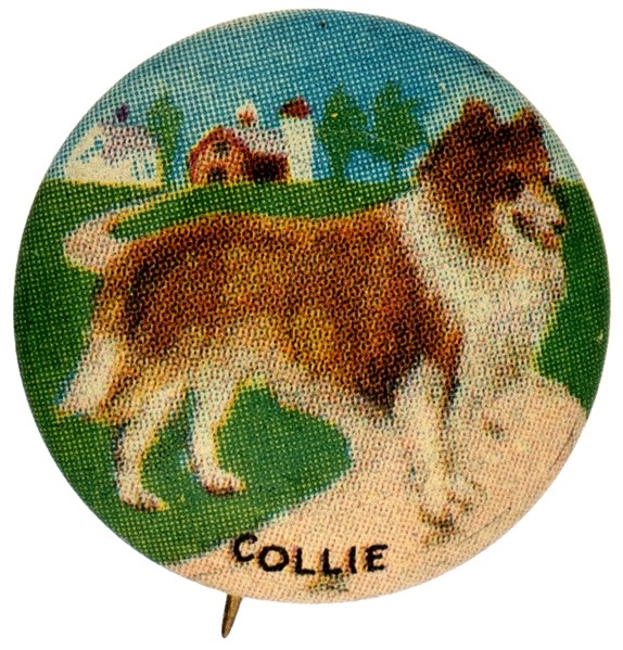 COLLIE DOG FROM 1930s ISSUED SET OF 35 BUTTONS.