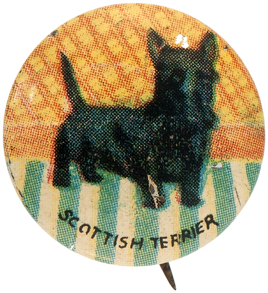 “SCOTTISH TERRIER” LITHO DOG BUTTON FROM 1930s SET OF 35 BREEDS.