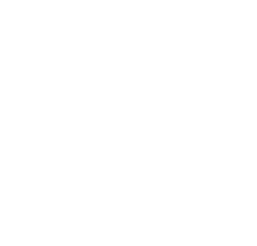 Ebay Icon